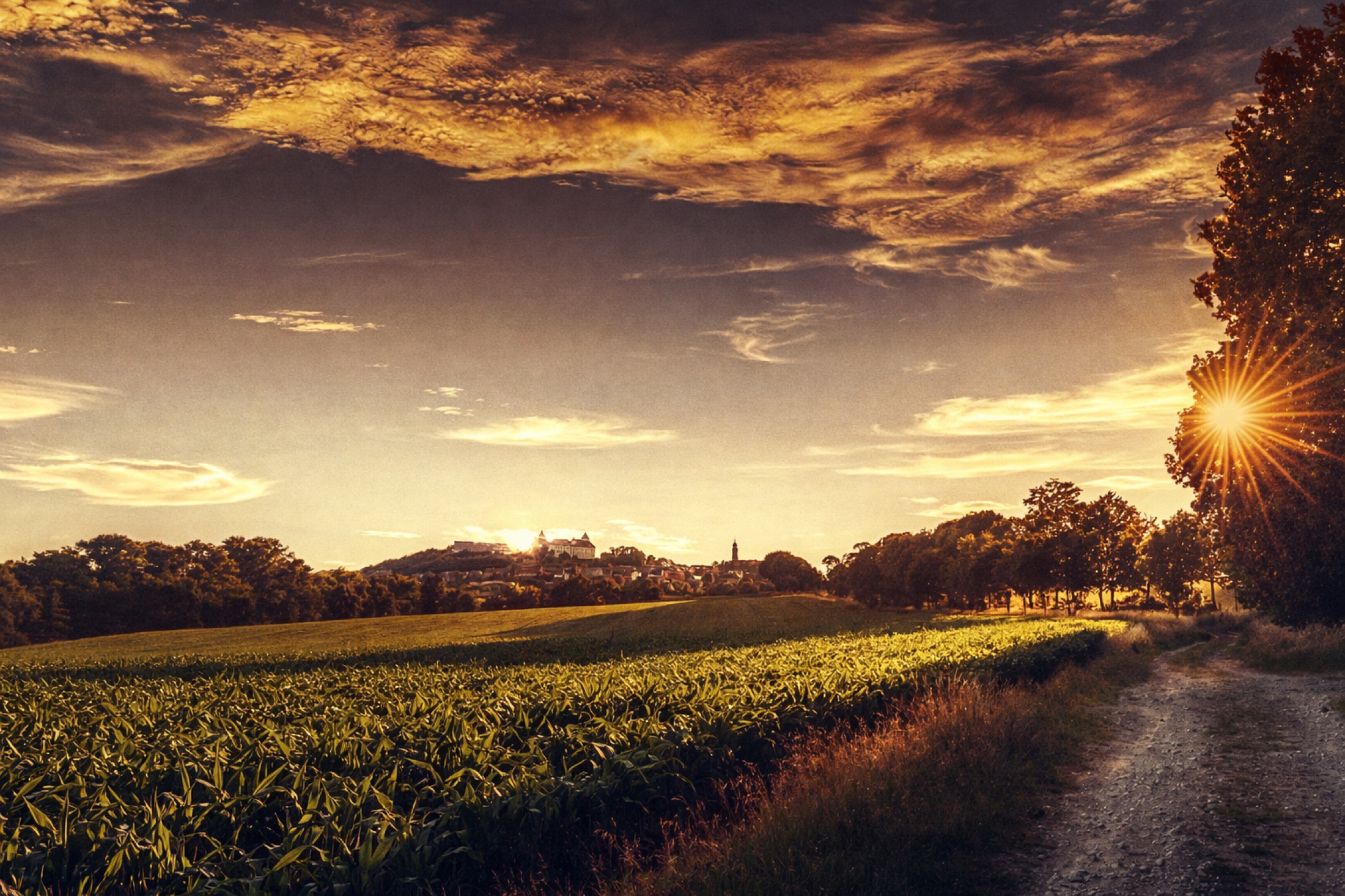 Feldweg durch die Erzgebirgslandschaft in warmer Abendsonne